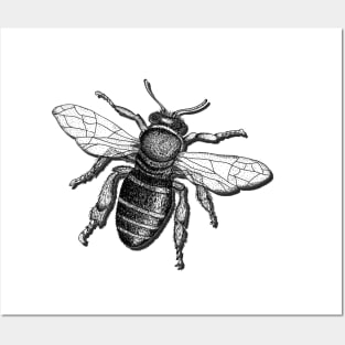 Hand drawn Bee with 3D effect for light background colors Posters and Art